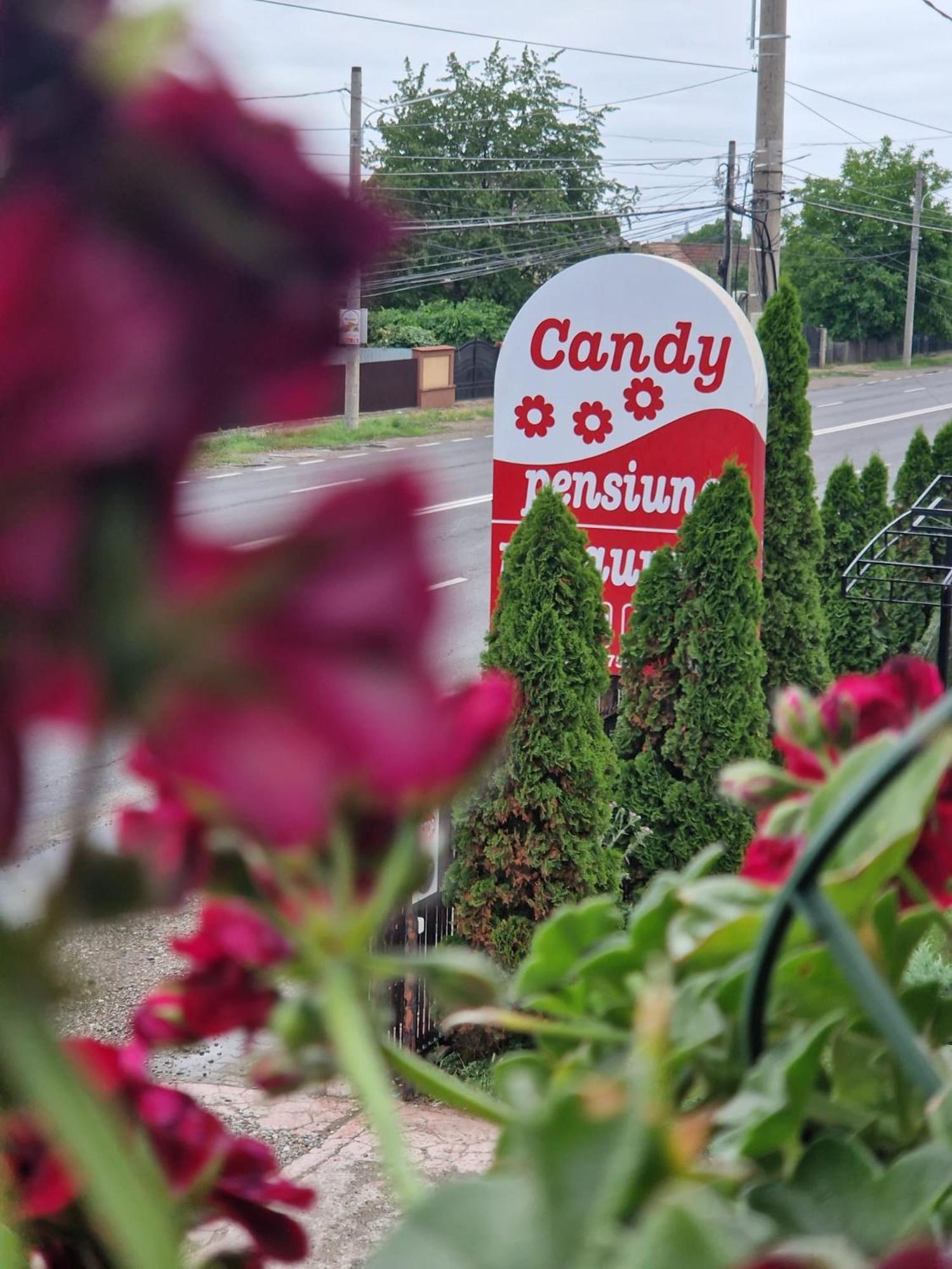 Candy Pensiune&Restaurant Dumbrava Roşie 외부 사진